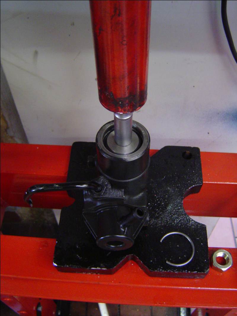 db25e1287068639_800.jpg