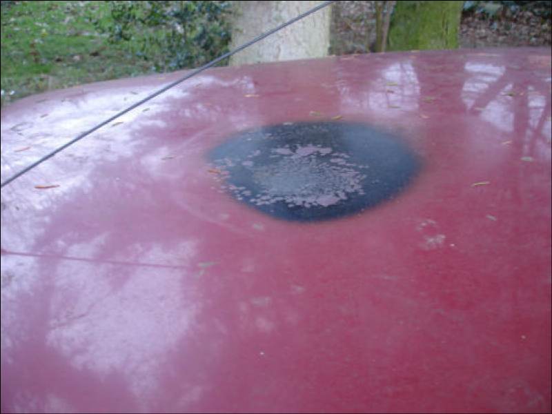403d31327026990_800.jpg