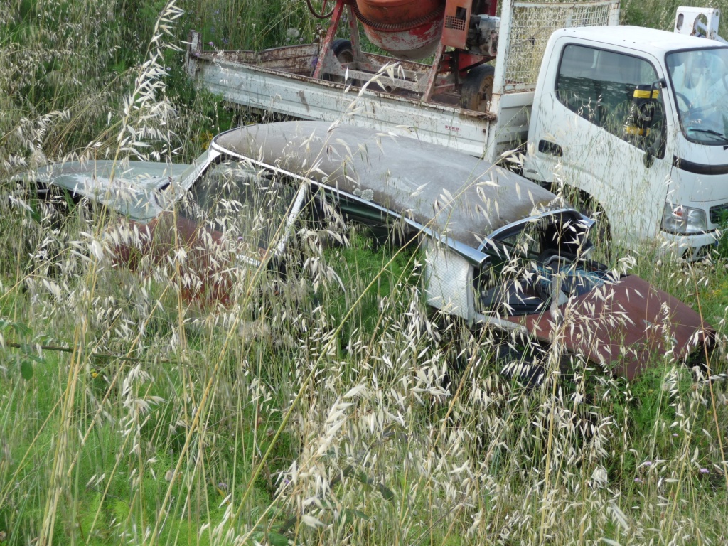 f60381307223340.jpg