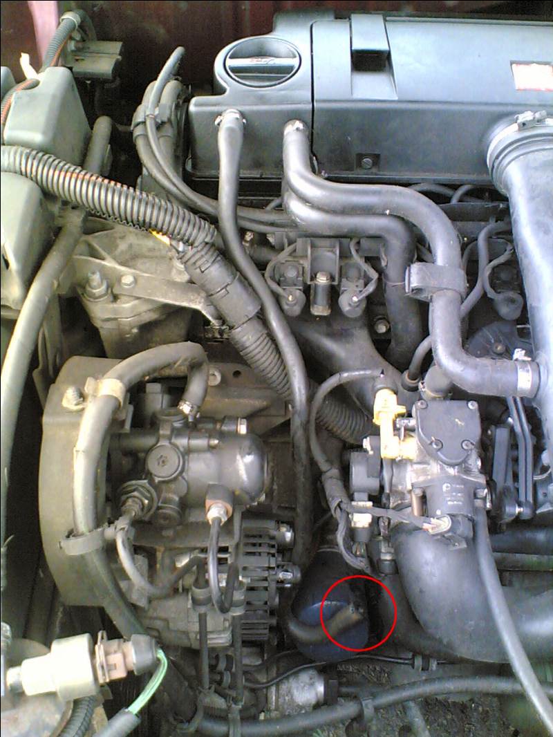 079d11391464554_800.jpg